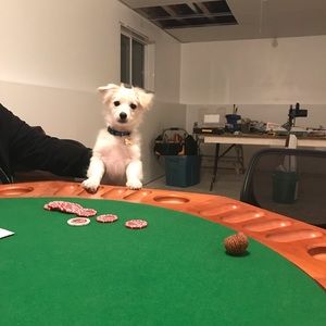 Meet your Posher, David